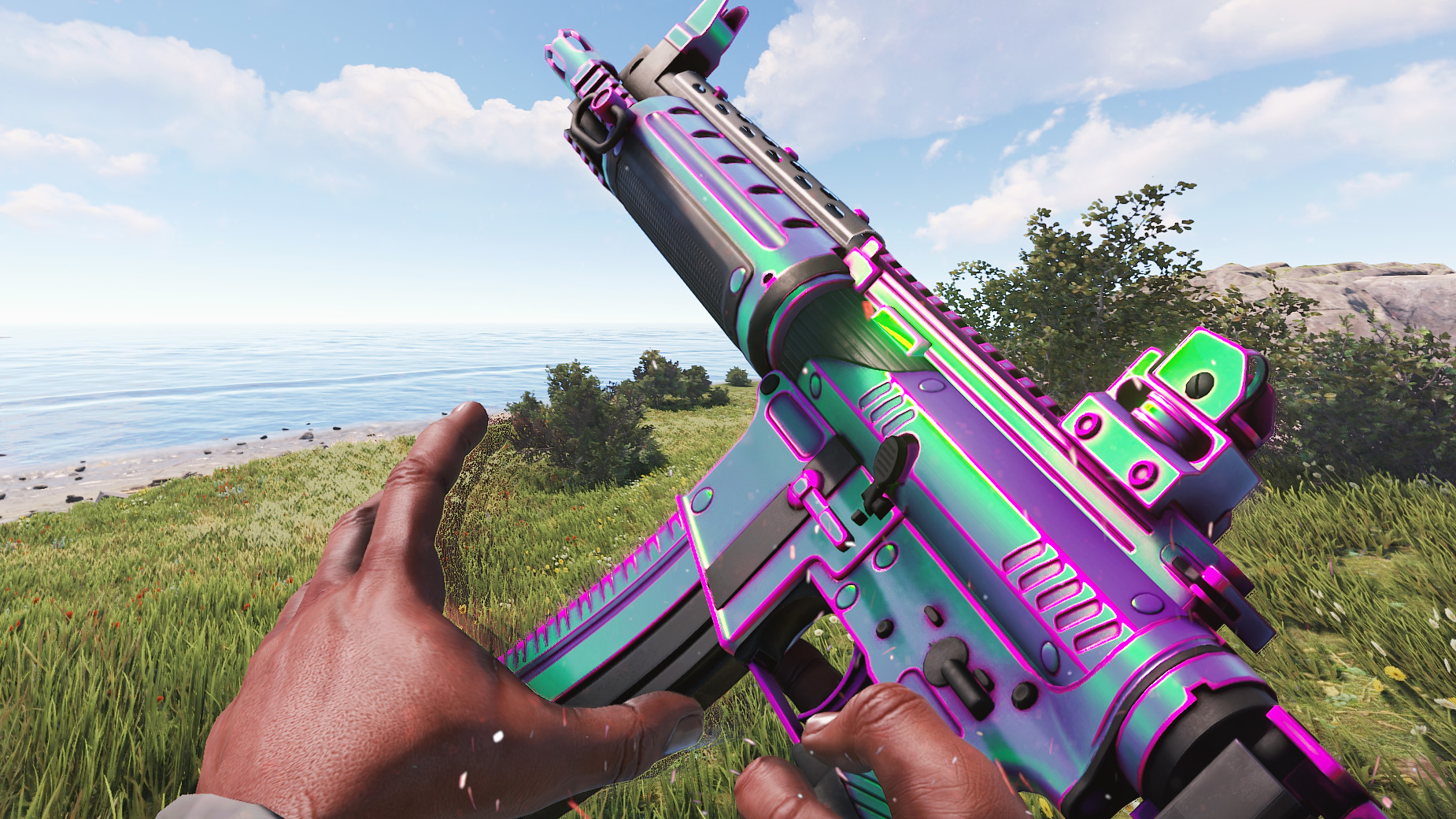 Chameleon LR thumbnail 6