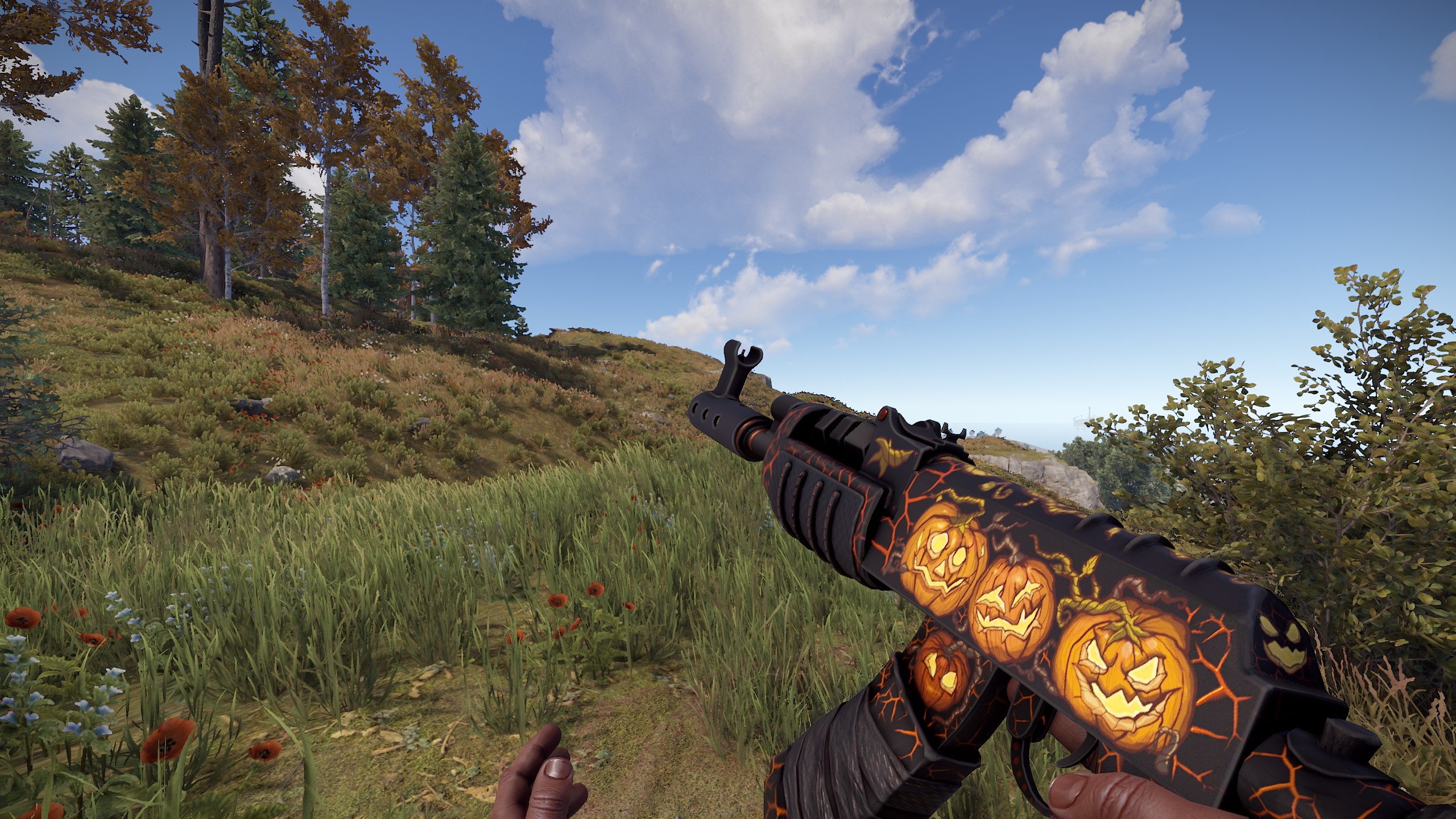 Pumpkin Exhibition thumbnail 2