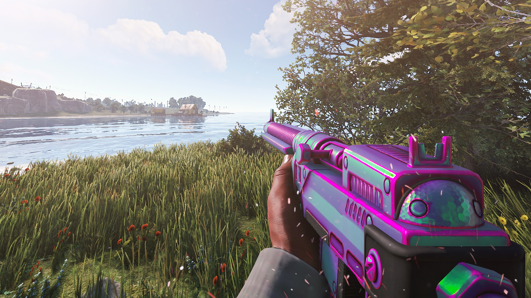 Chameleon SAR thumbnail 5