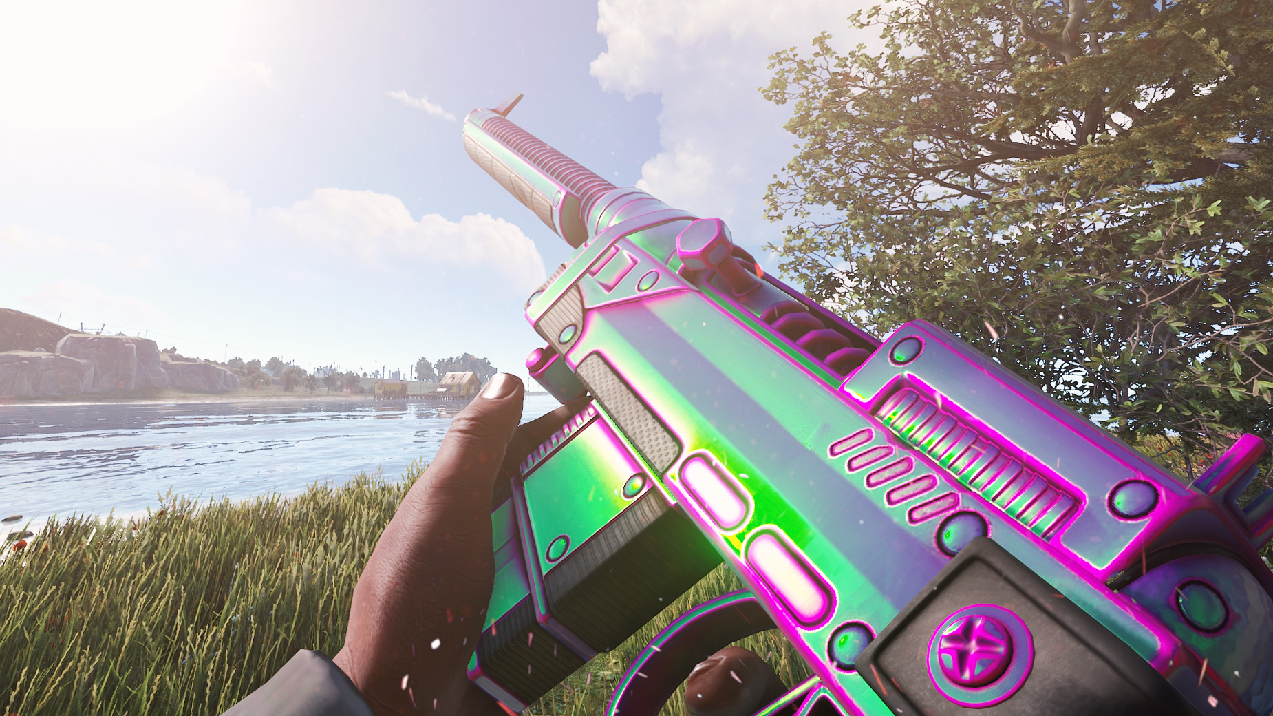 Chameleon SAR screenshot 1