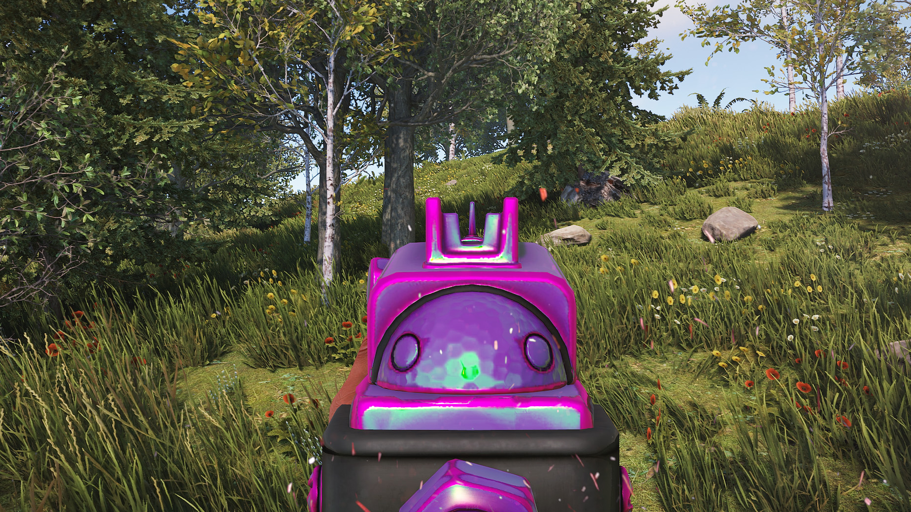 Chameleon SAR thumbnail 6