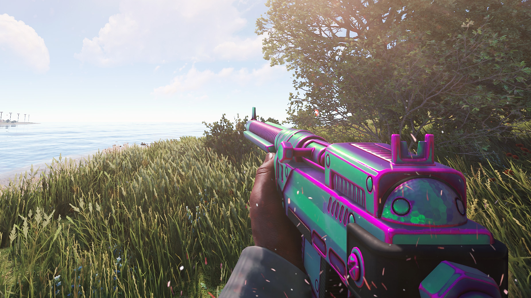 Chameleon SAR thumbnail 10