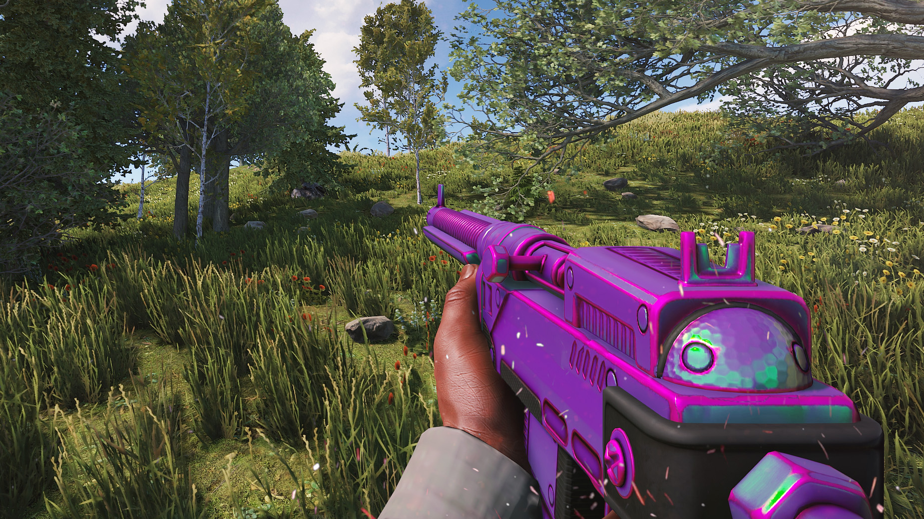 Chameleon SAR thumbnail 8