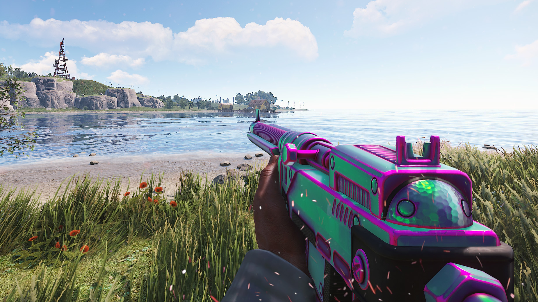 Chameleon SAR thumbnail 9