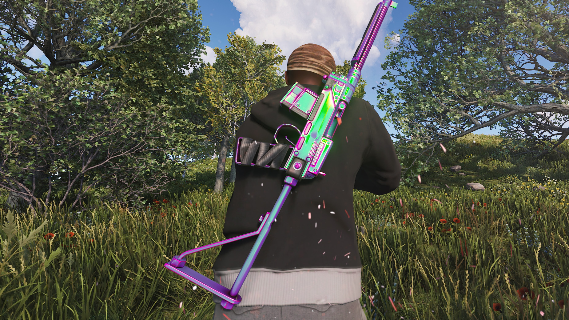 Chameleon SAR thumbnail 4
