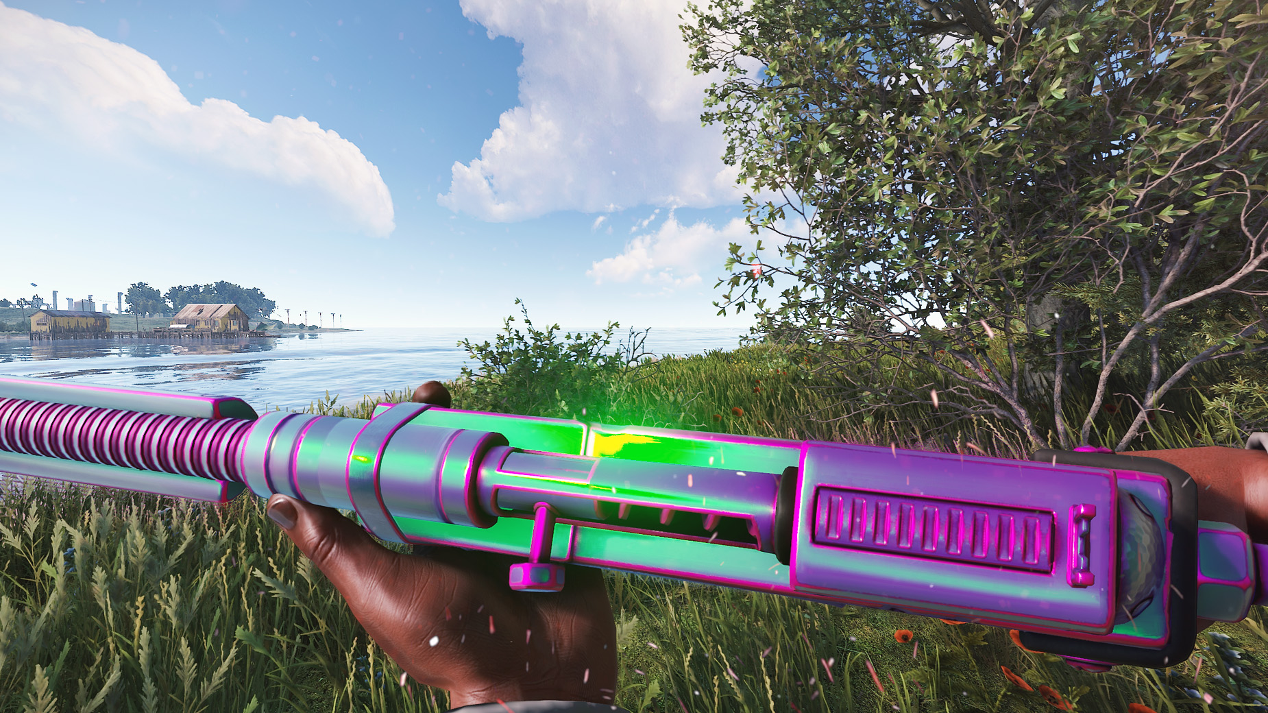 Chameleon SAR thumbnail 3