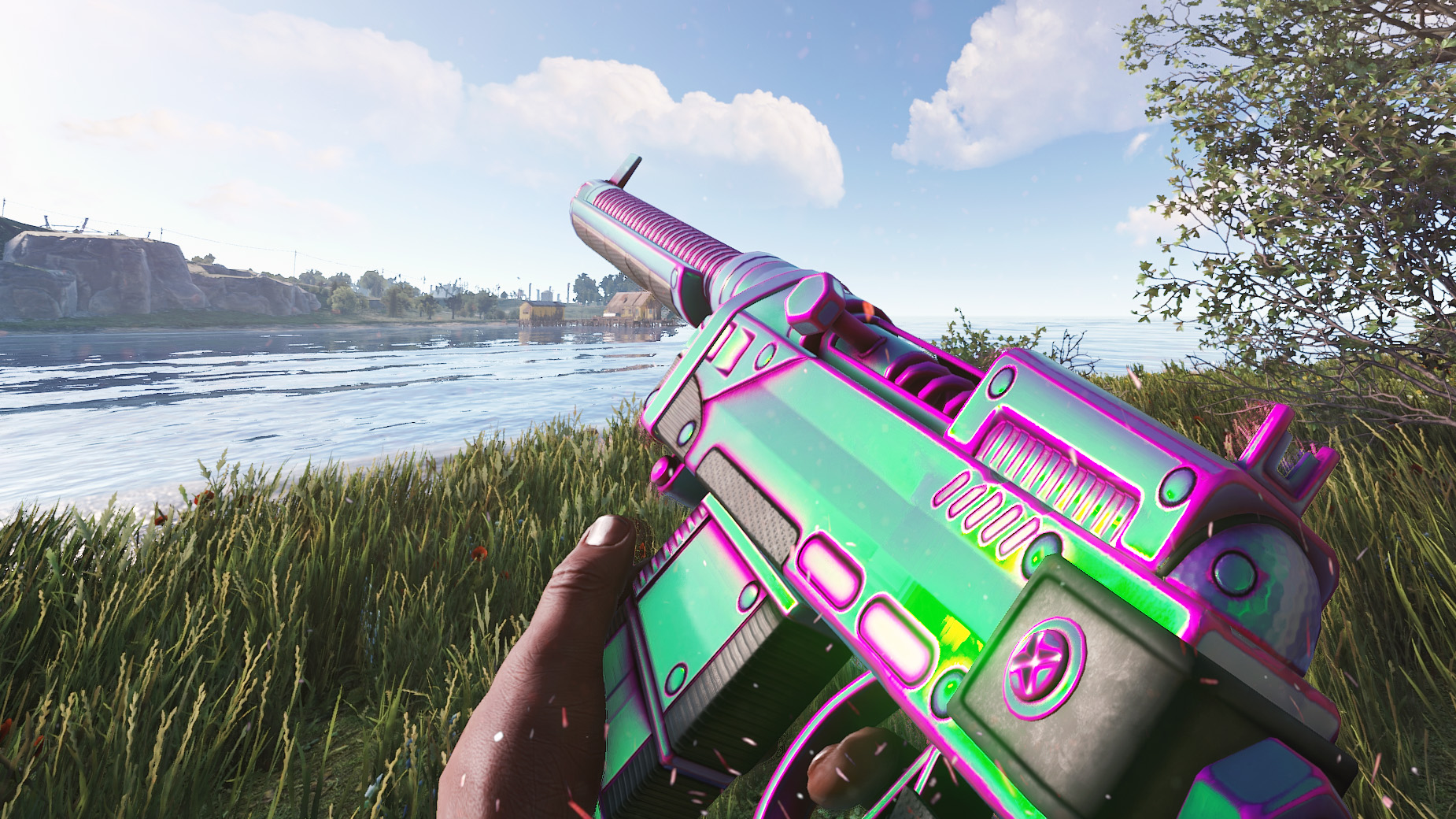 Chameleon SAR thumbnail 7