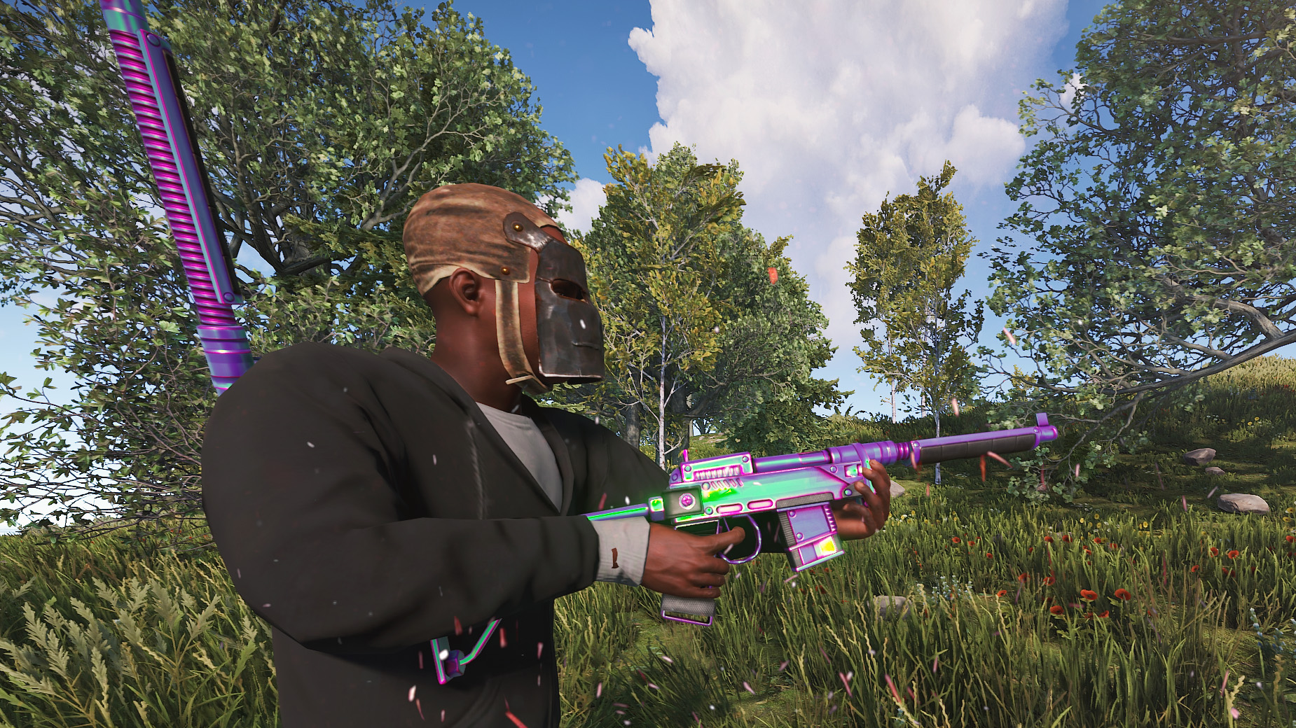 Chameleon SAR thumbnail 2