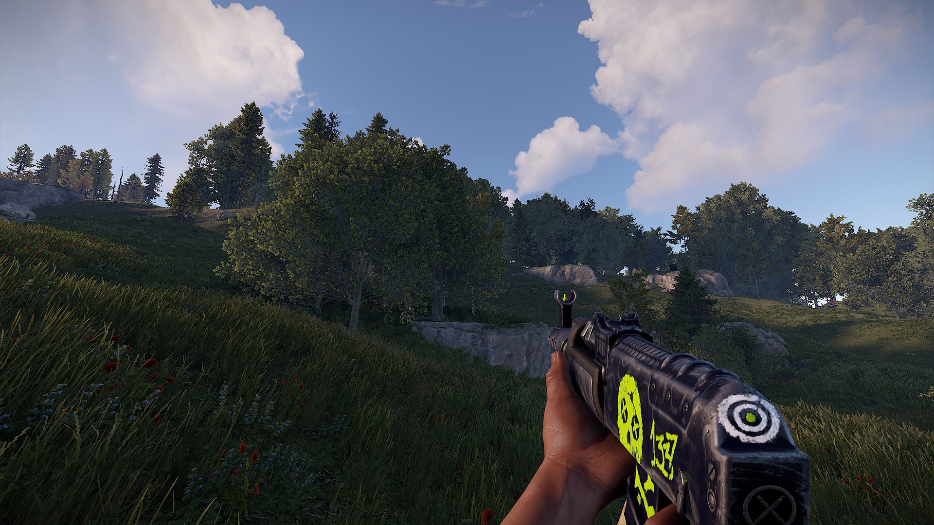 Bullseye AR thumbnail 8
