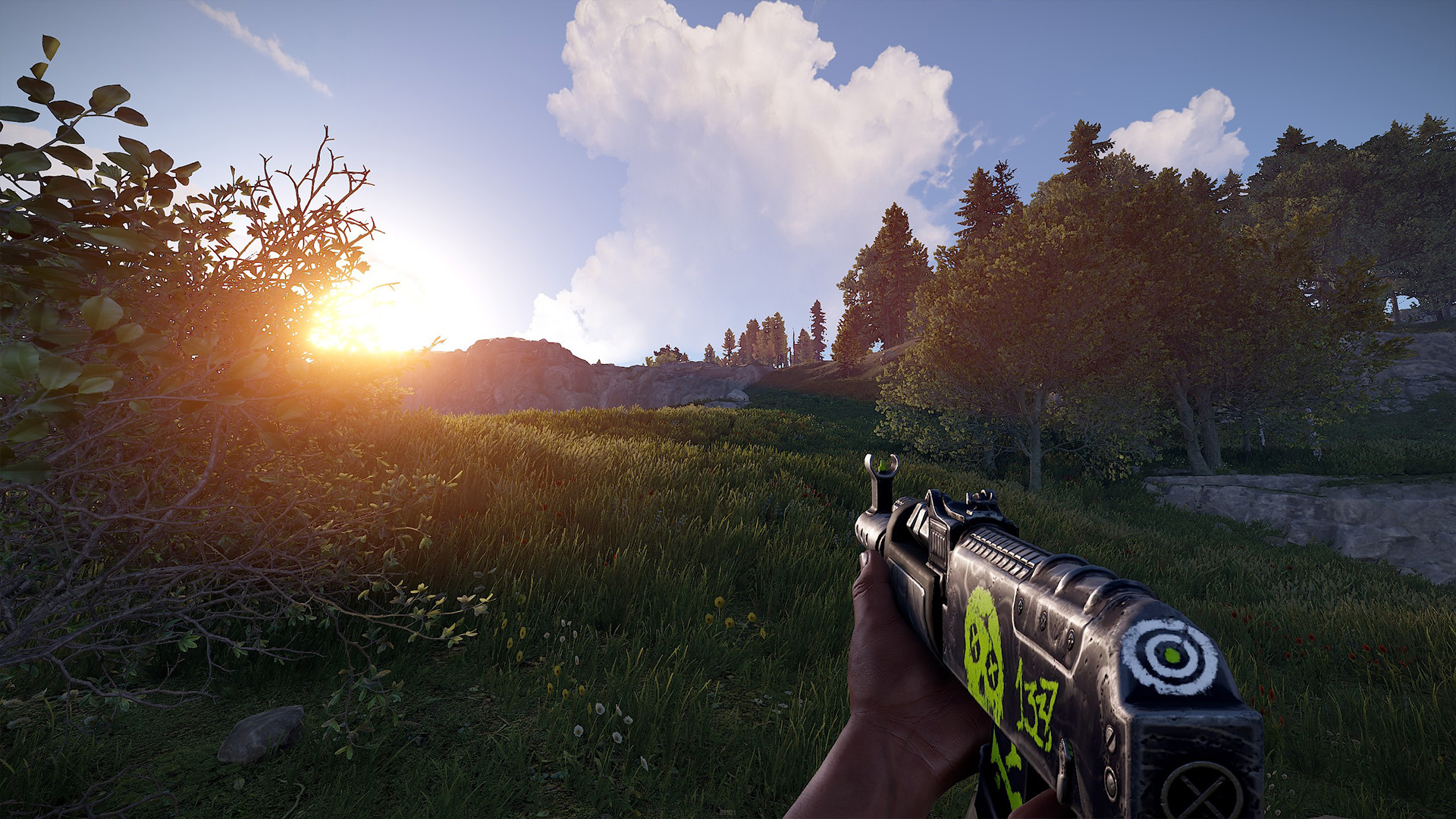 Bullseye AR thumbnail 3