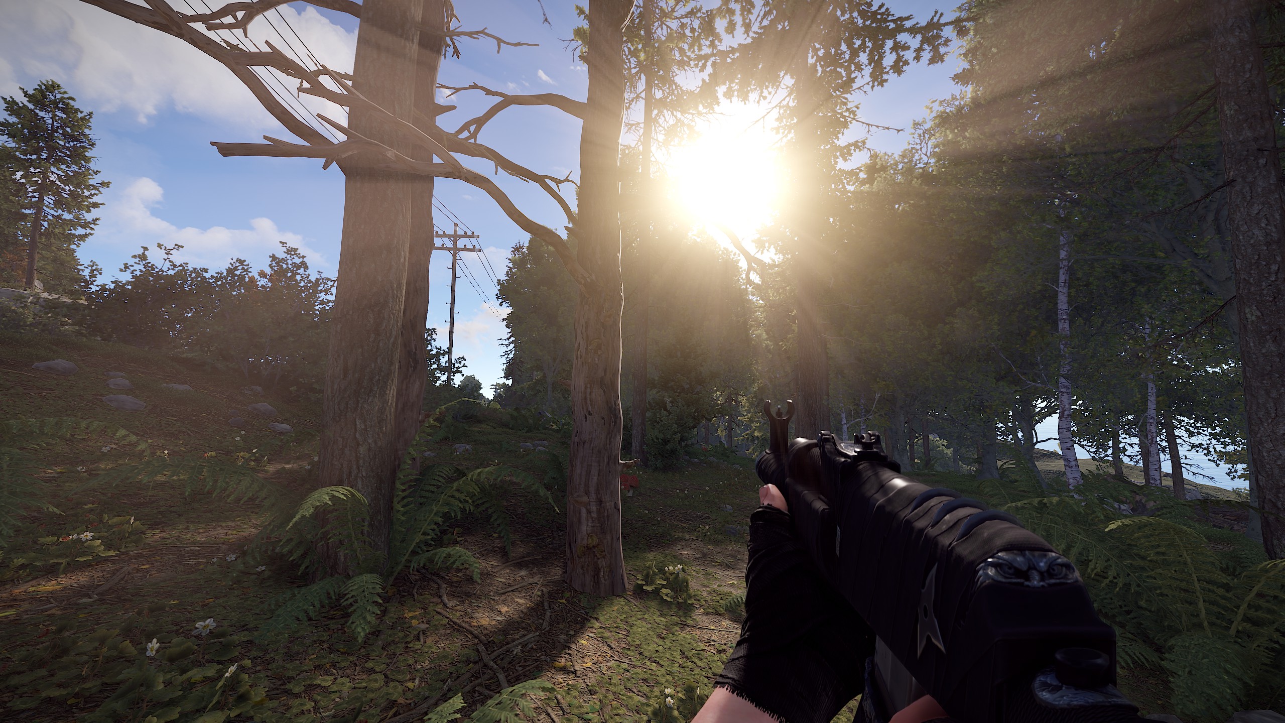 Ninja AR thumbnail 5