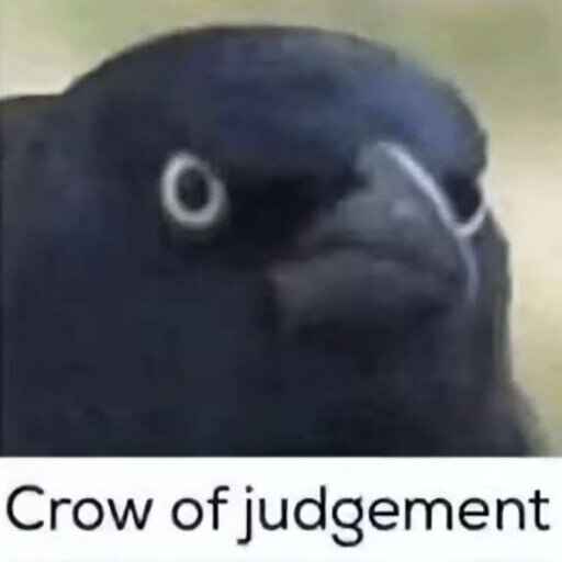 Мем с вороной и девушкой Мем с вороной и девушкой