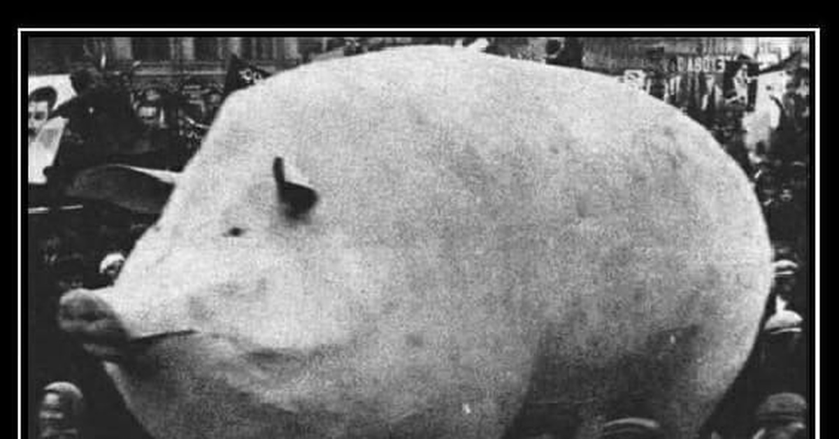 Свинья с большими яйцами. Hog Cursed image. Hog Cursed