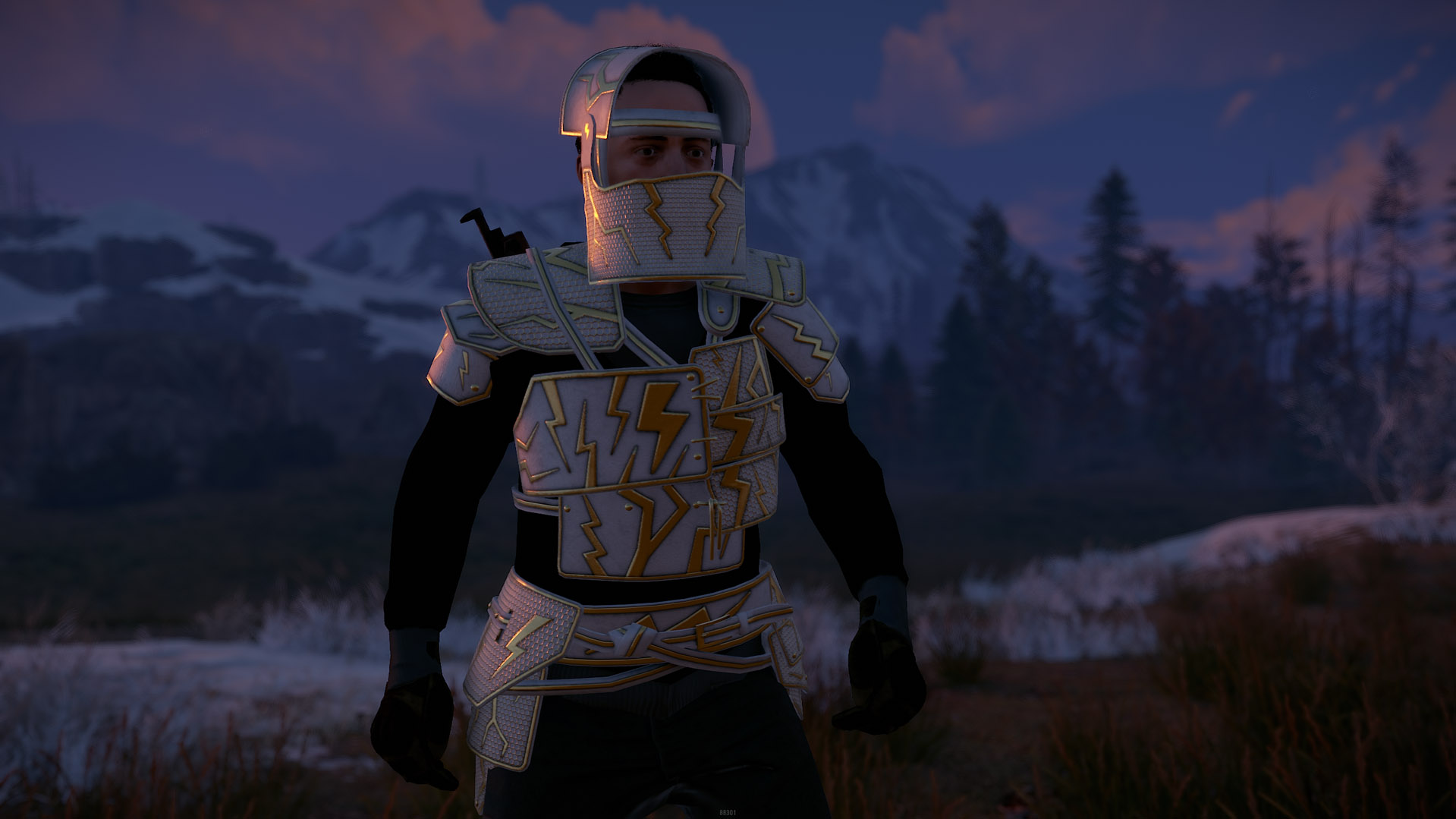 Thundergold Roadsign Vest thumbnail 8