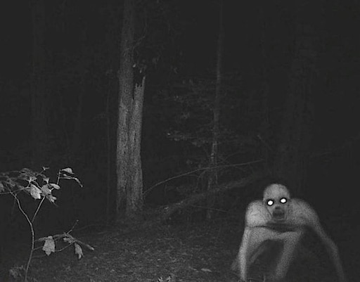 Как выглядит ырка в реальной жизни Как выглядит ырка в реальной жизни