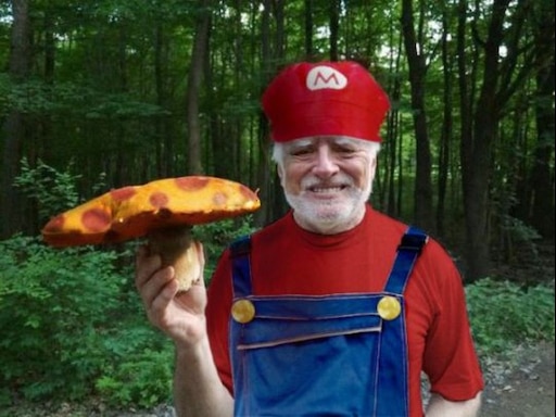 Подполковник гриб фото Подполковник гриб фото