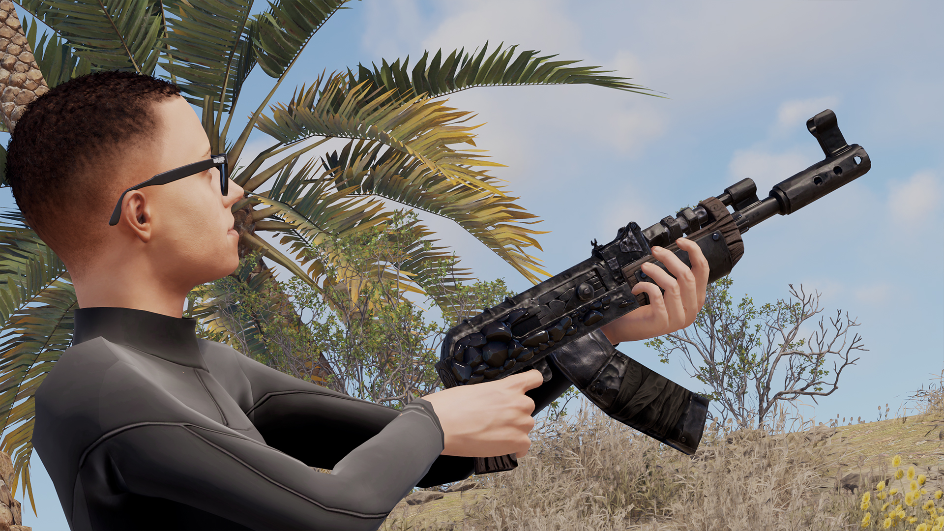 Blackstone AR thumbnail 3