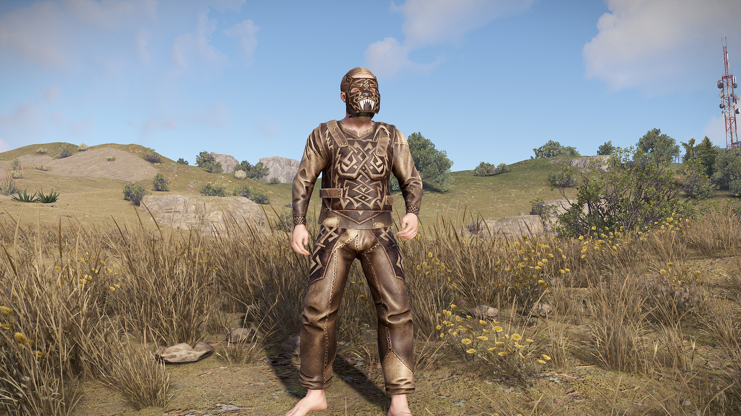 Desert Beast Facemask thumbnail 3