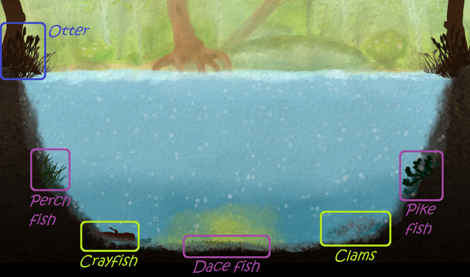 Steam Community :: Guide :: 🐟 Among Ripples | Gameplay Basics