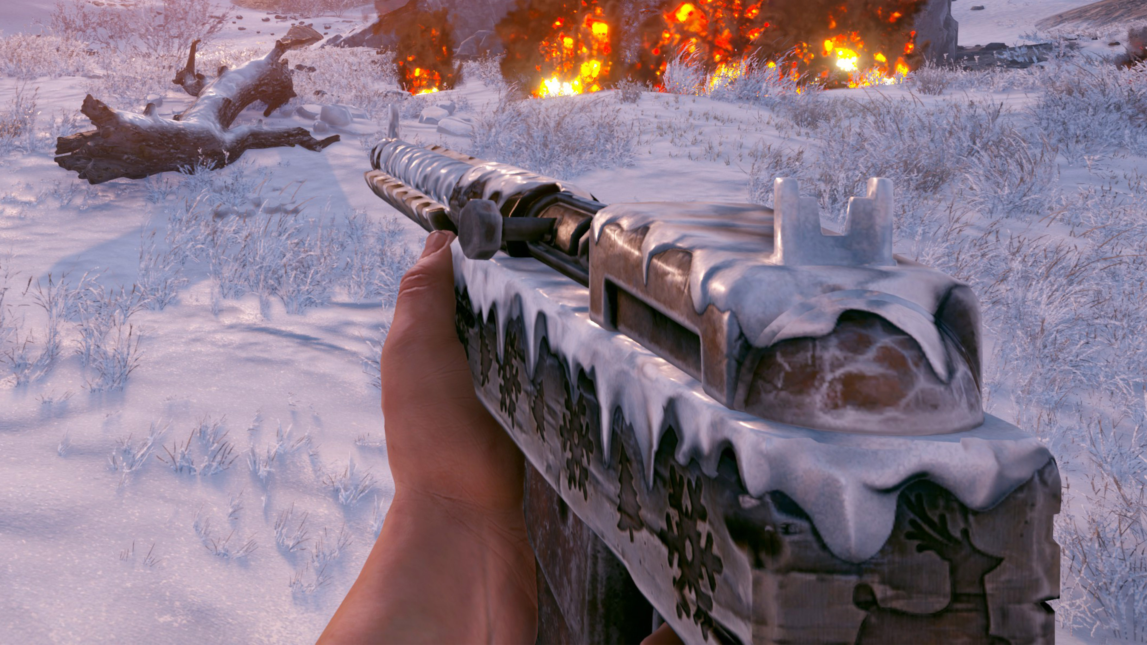 Snowy SAR screenshot 1