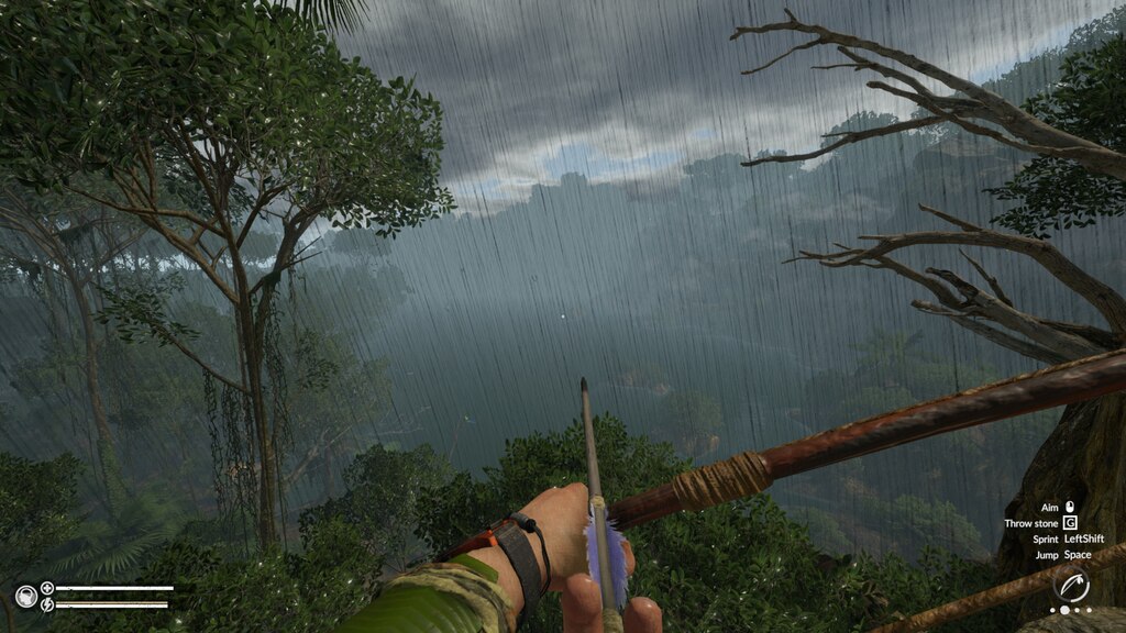 Green Hell é um jogo de sobrevivência na Amazônia das mentes de