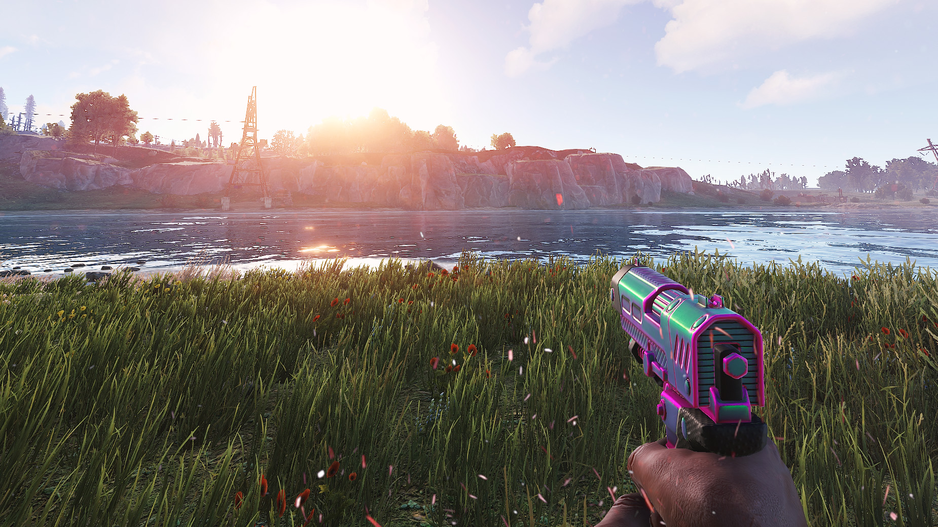 Chameleon SAP thumbnail 3