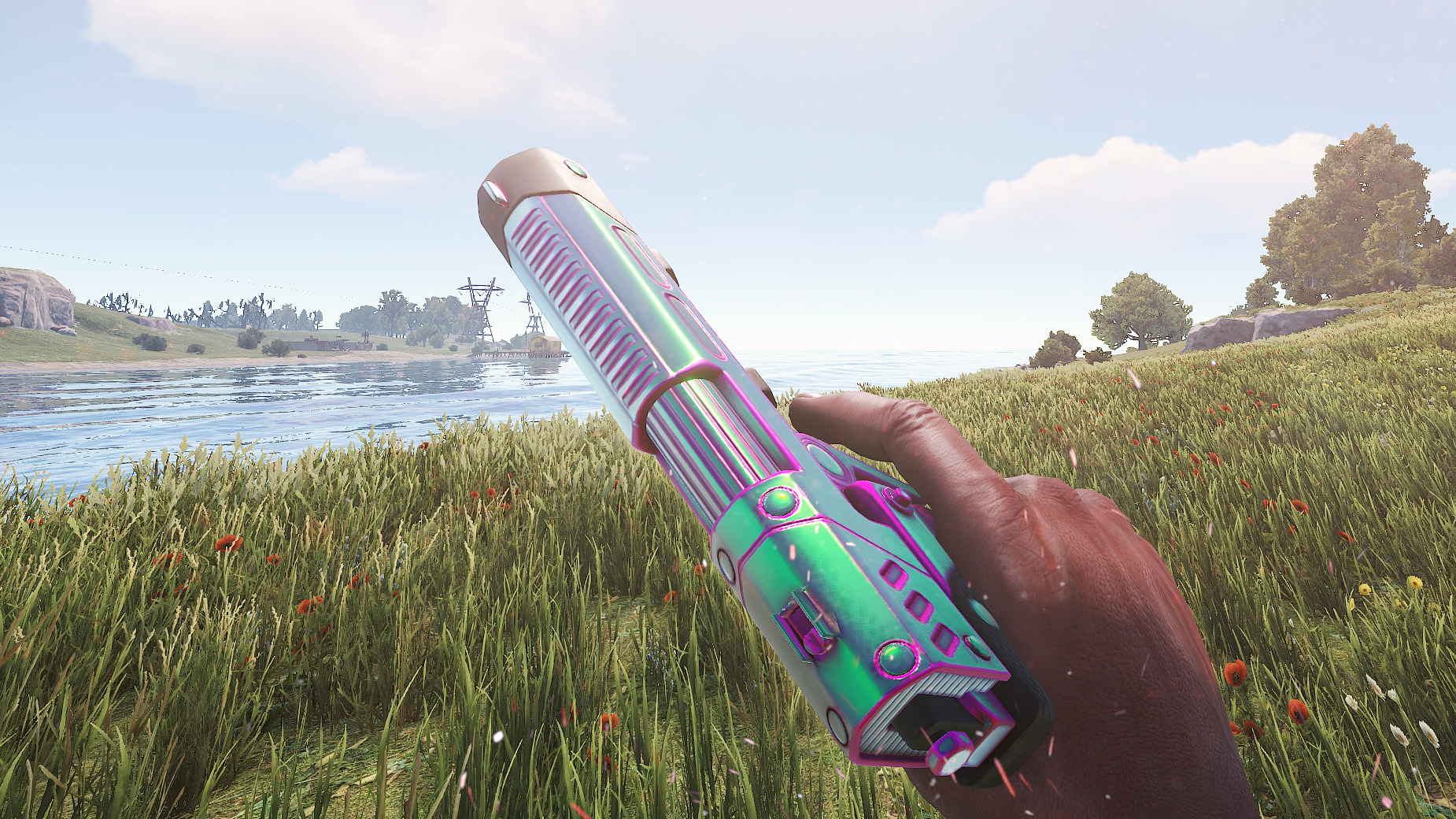 Chameleon SAP thumbnail 4