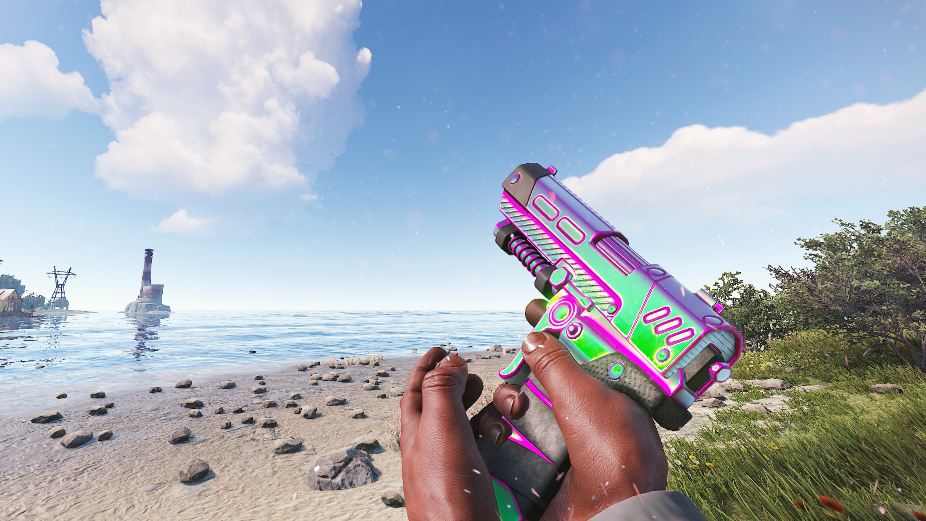 Chameleon SAP thumbnail 5
