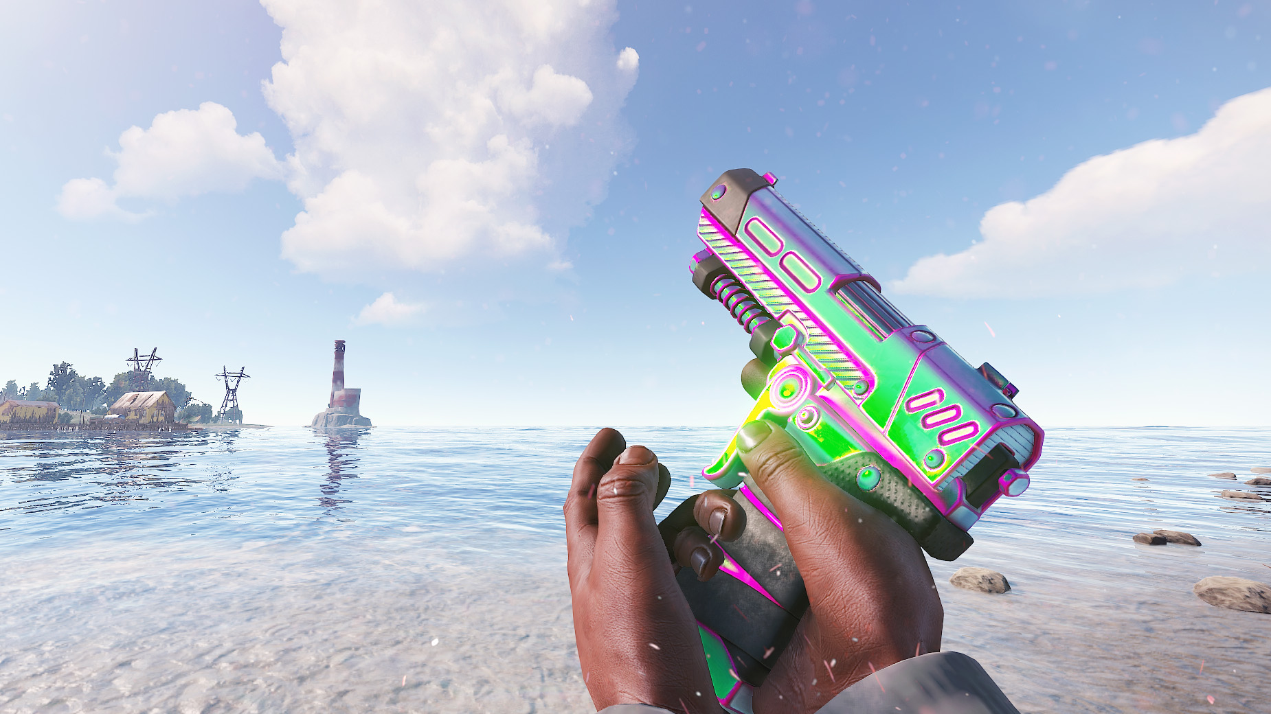 Chameleon SAP thumbnail 6