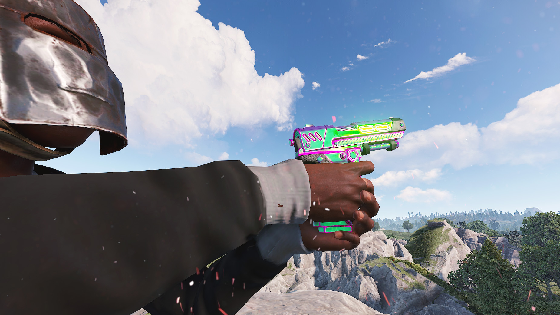 Chameleon SAP thumbnail 8