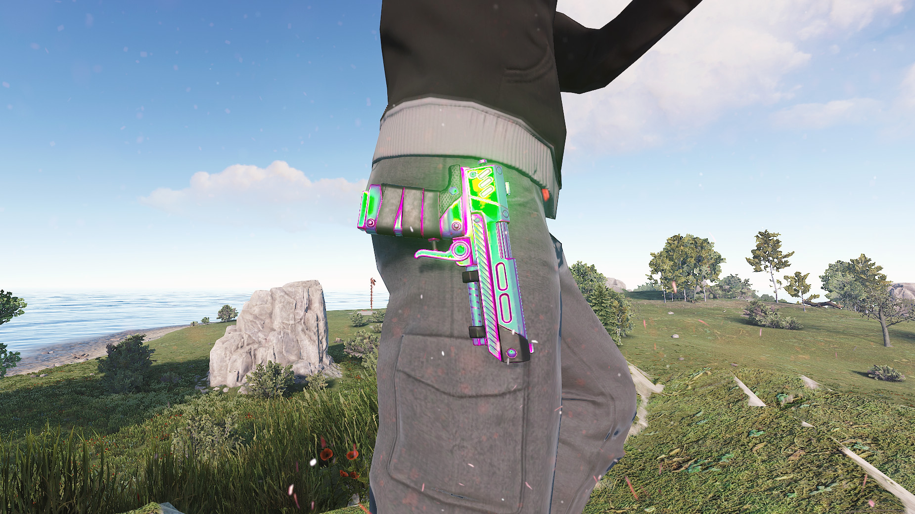 Chameleon SAP thumbnail 9