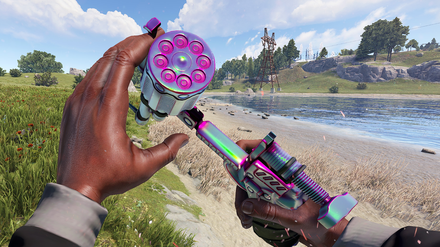 Chameleon Revolver thumbnail 8