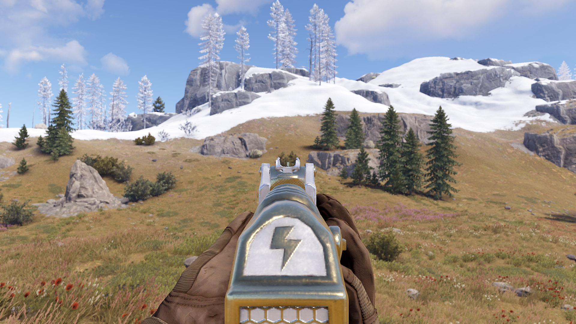 Thundergold AR thumbnail 9