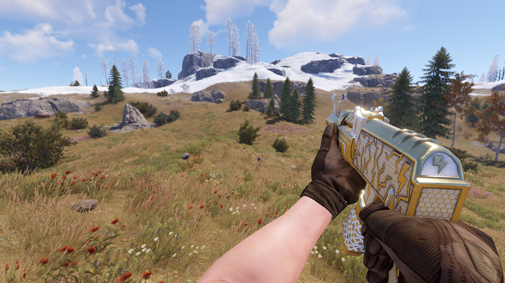Thundergold AR thumbnail 8