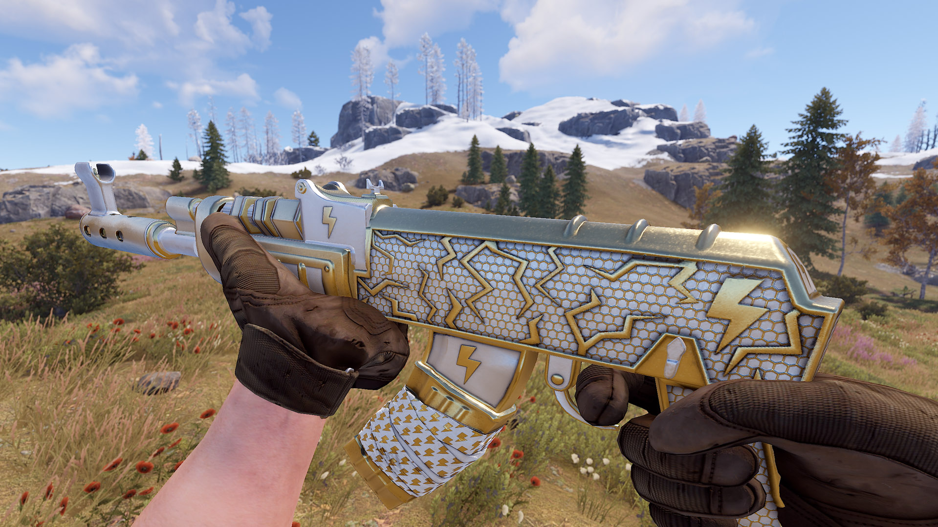 Thundergold AR thumbnail 6