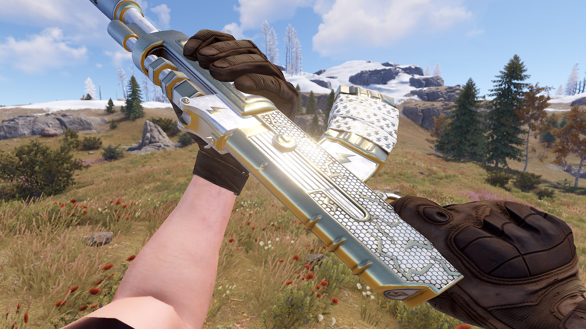 Thundergold AR thumbnail 7