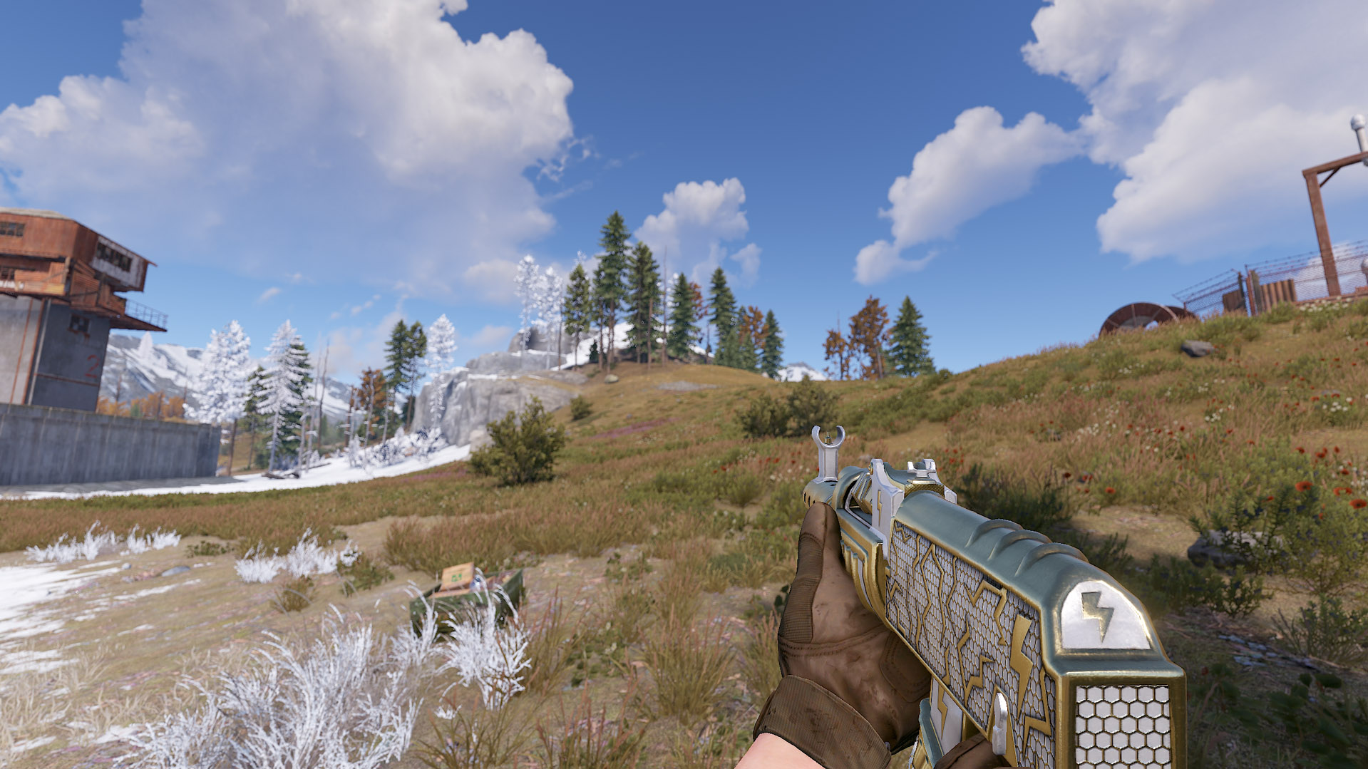 Thundergold AR thumbnail 10