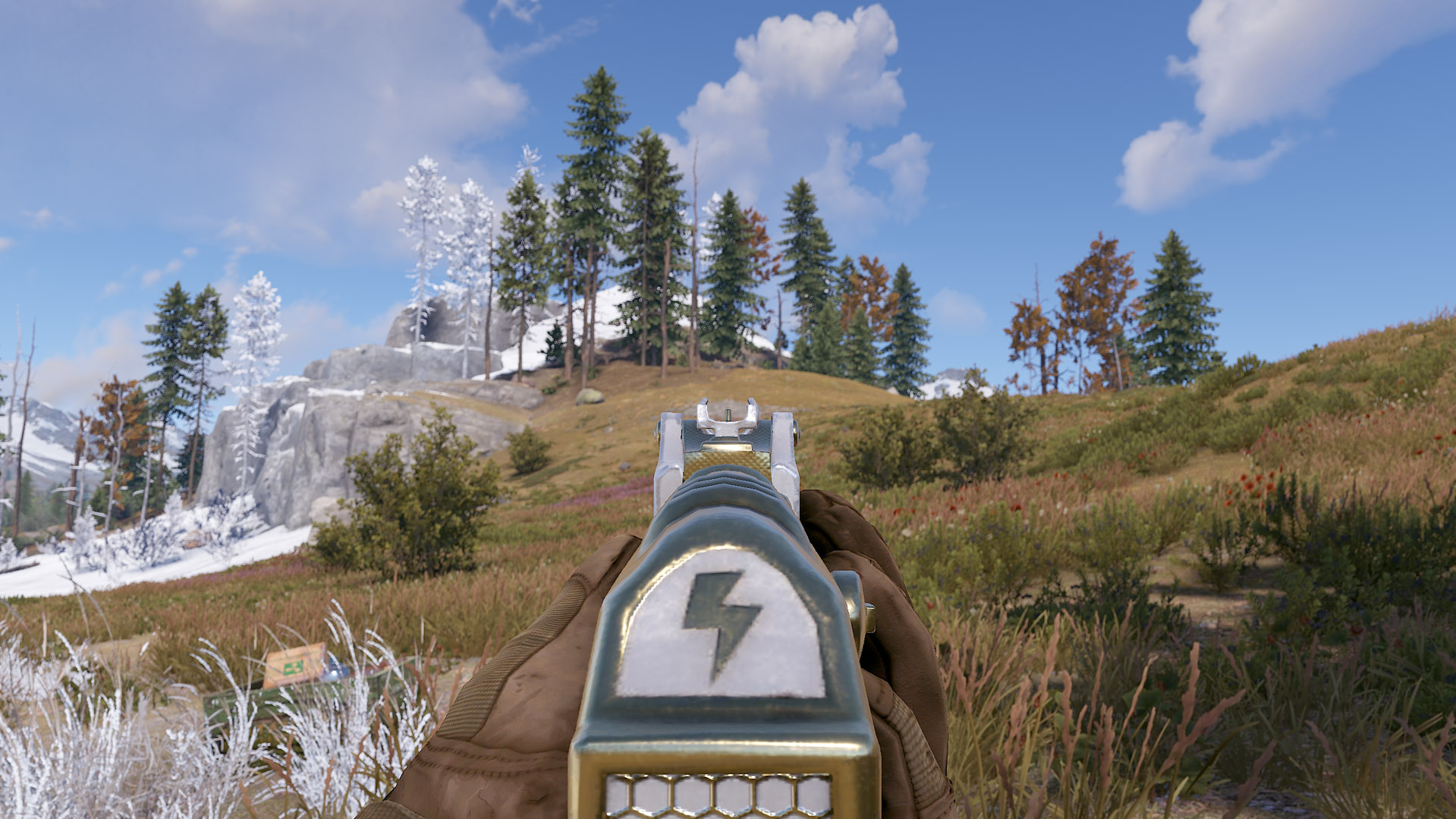 Thundergold AR thumbnail 11