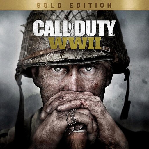 Call of duty ww2 ps4. Call of Duty®: WWII - Gold Edition. Call of Duty ww2 обложка. Call of Duty: WWII Gold Edition ps4. Call of Duty ww II.