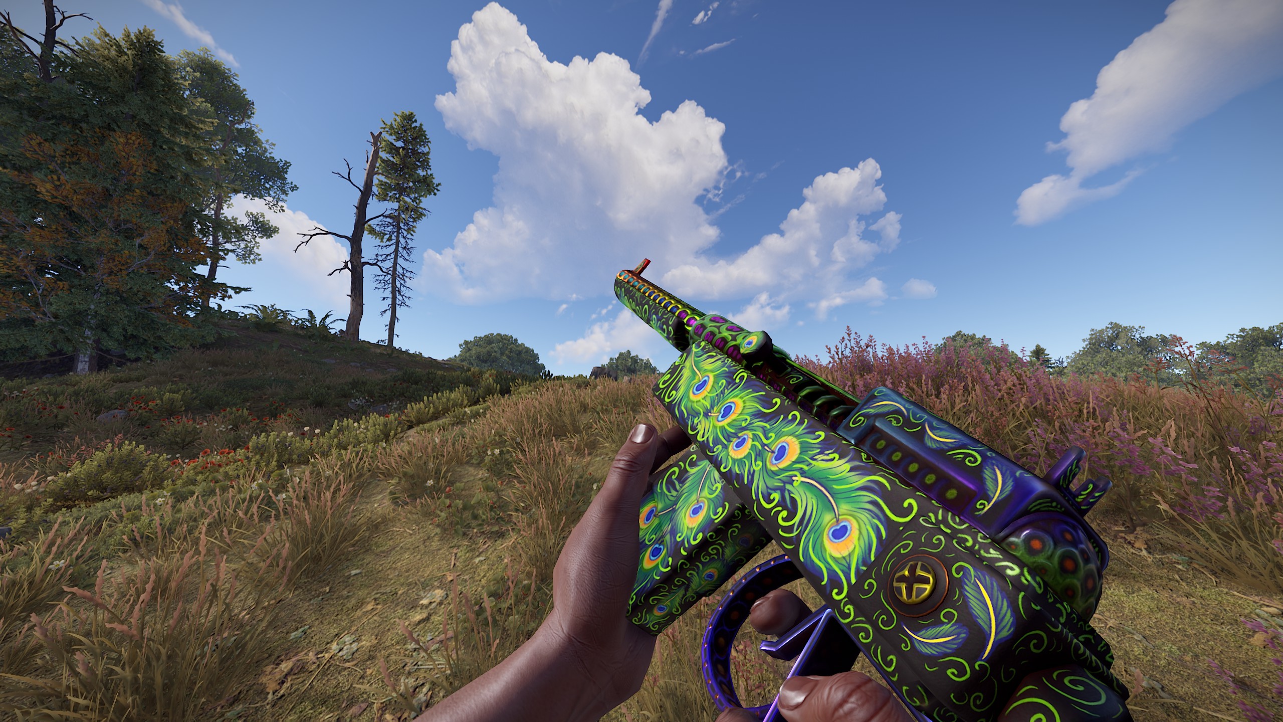 Bird of Luck SAR thumbnail 2
