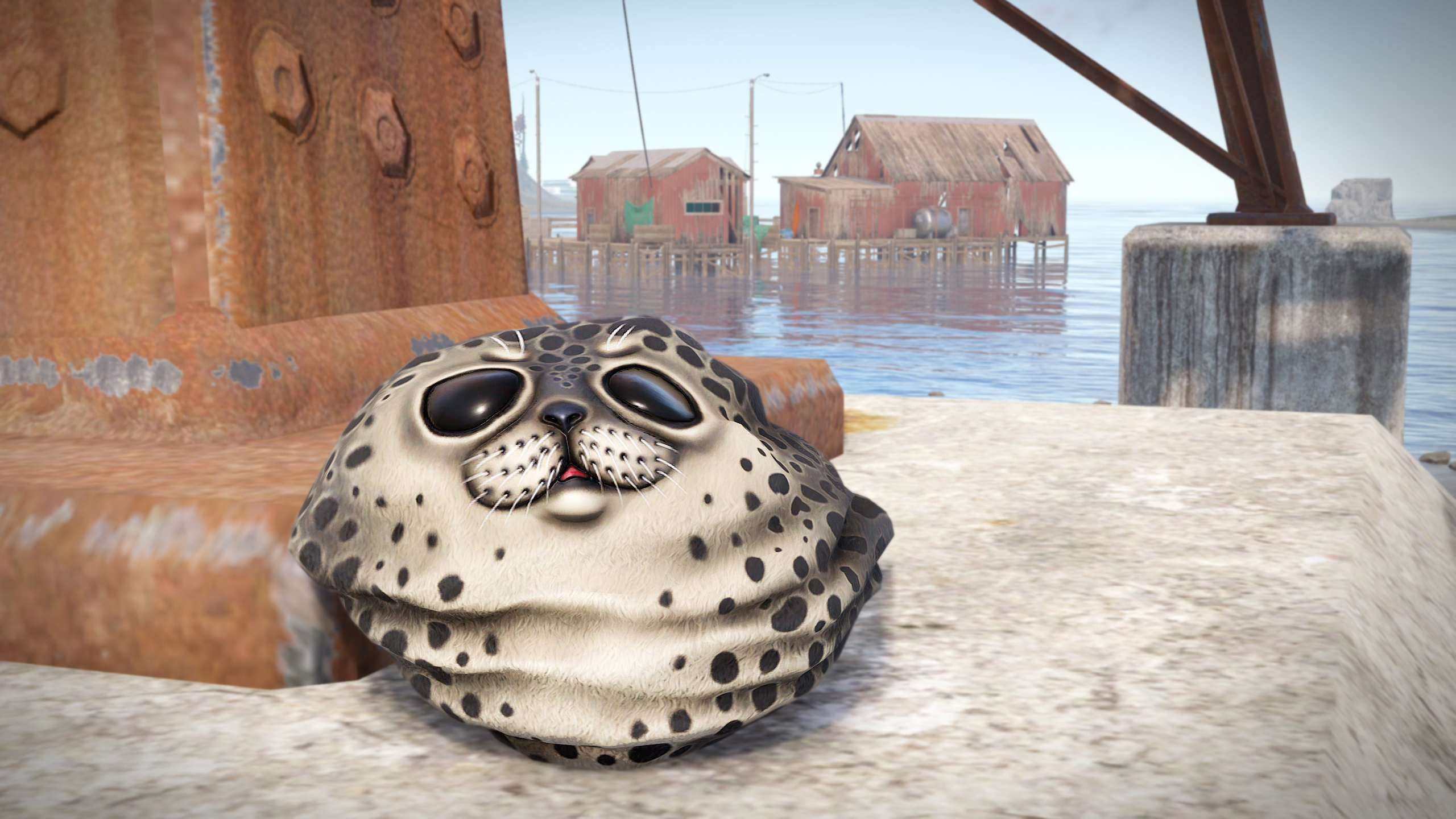 Harbor Seal Rock thumbnail 3