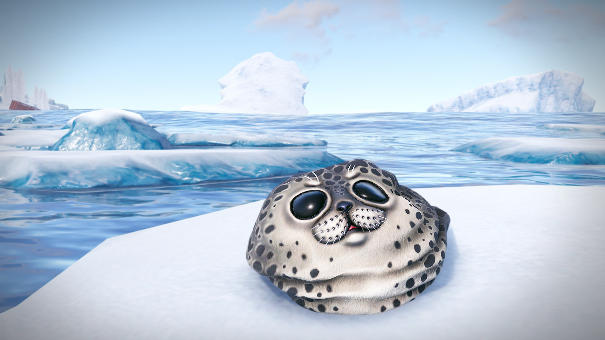 Harbor Seal Rock thumbnail 7