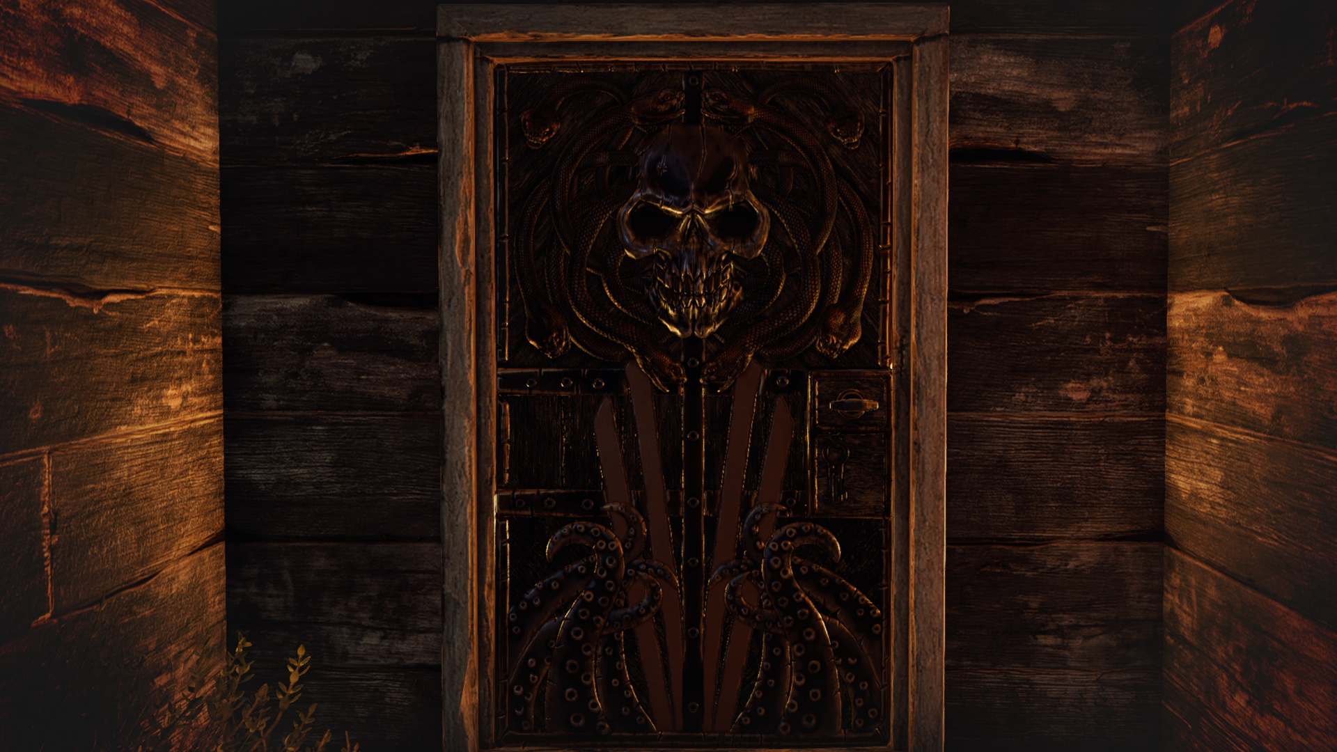Steel Pirate Door thumbnail 5