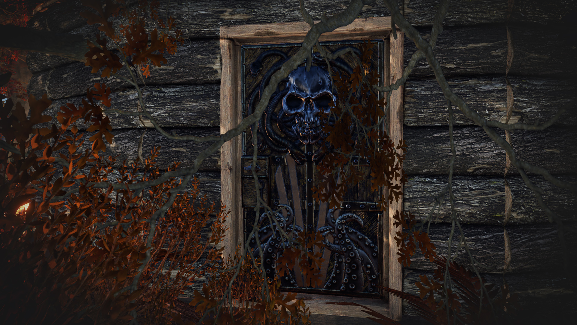 Steel Pirate Door thumbnail 3