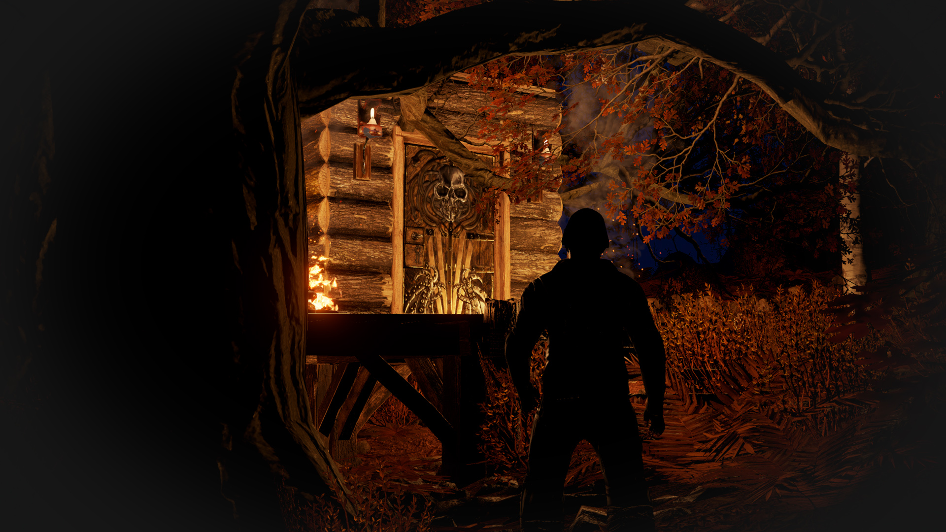Steel Pirate Door thumbnail 4