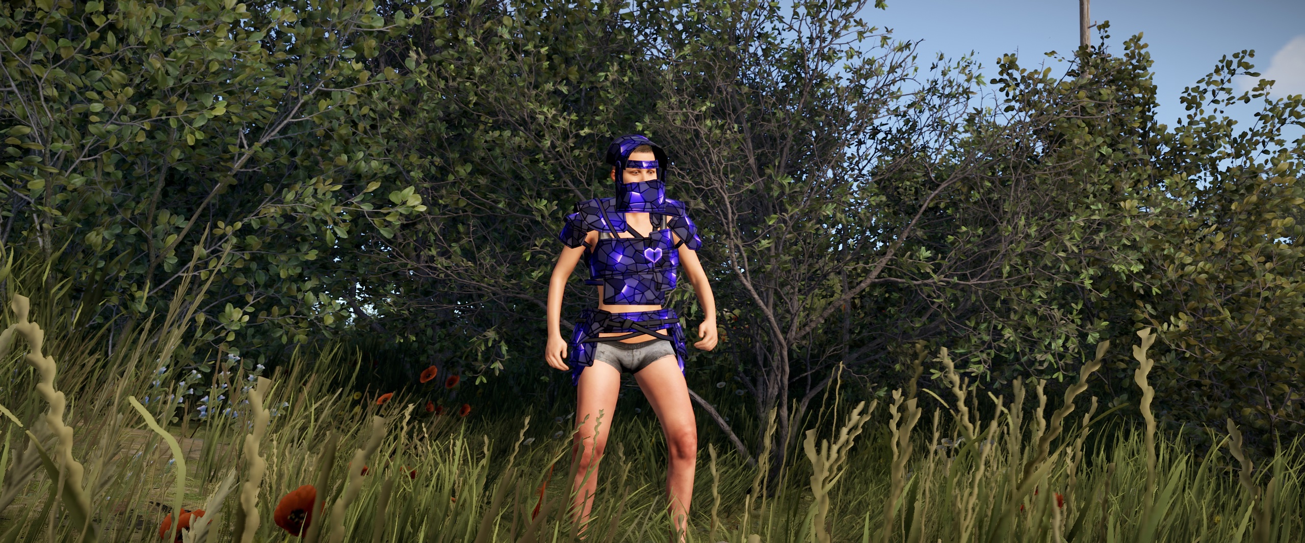 Ultramarine Helmet screenshot 1