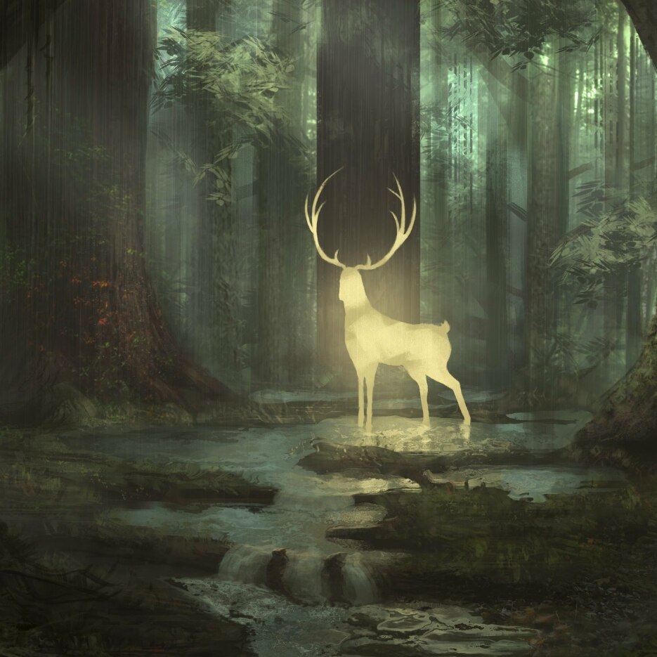 Forest Deer