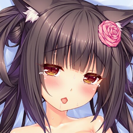 18 Choco From Nekopara Wallpapers Hdv