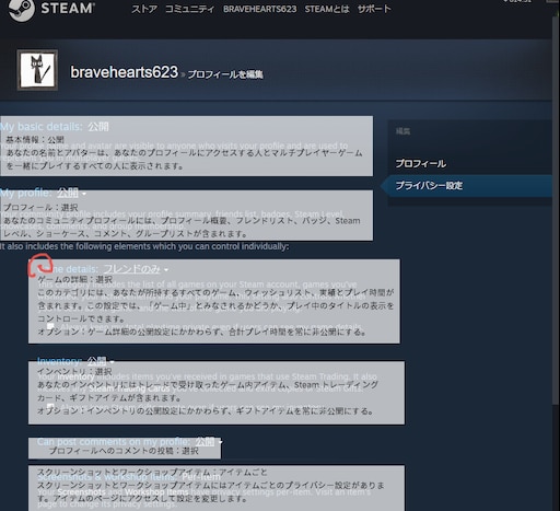 Steam Community Screenshot New Privacy Setting Allow To Access To Game Detail