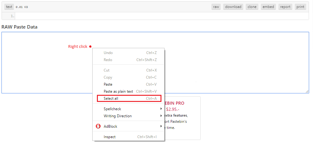 Invisible Character Copy Lasopaprofiles